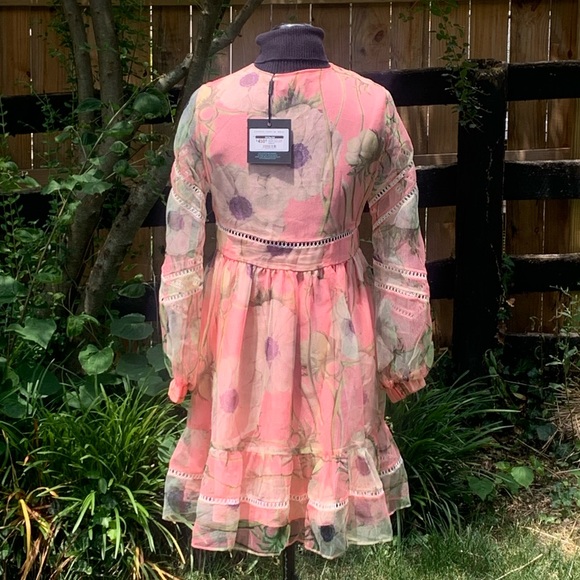 Cynthia Rowley Poppy Organza Peach Dress - Picture 9 of 15